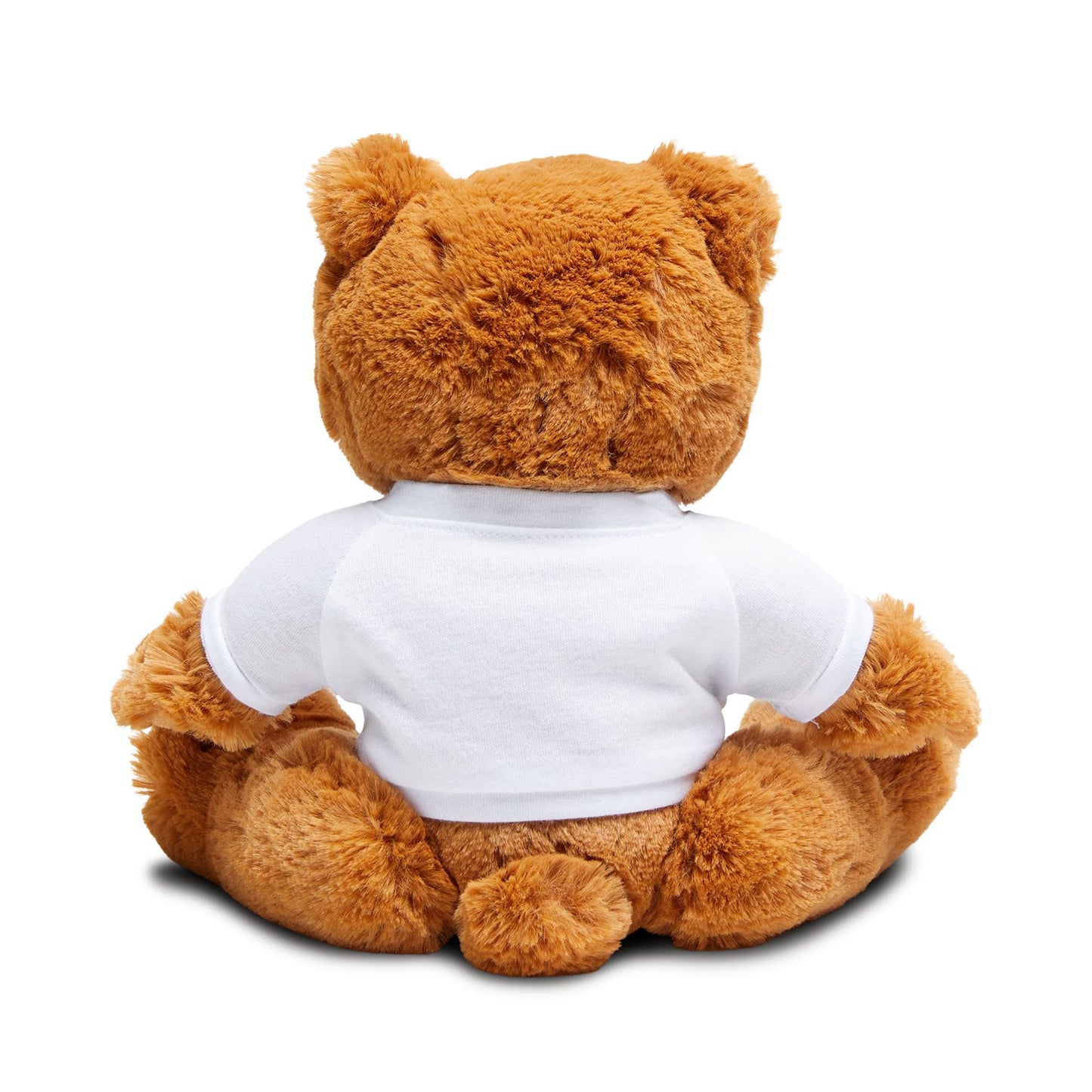 Soft 7" x 10" Teddy Bear with Removable Willie & The Poor Boys T-Shirt
