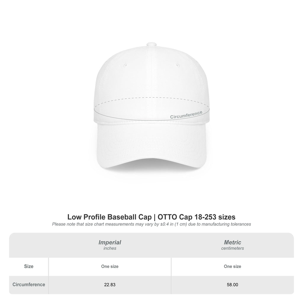 Willie & The Poor Boys Logo Baseball Cap — Vintage Tour Music Hat