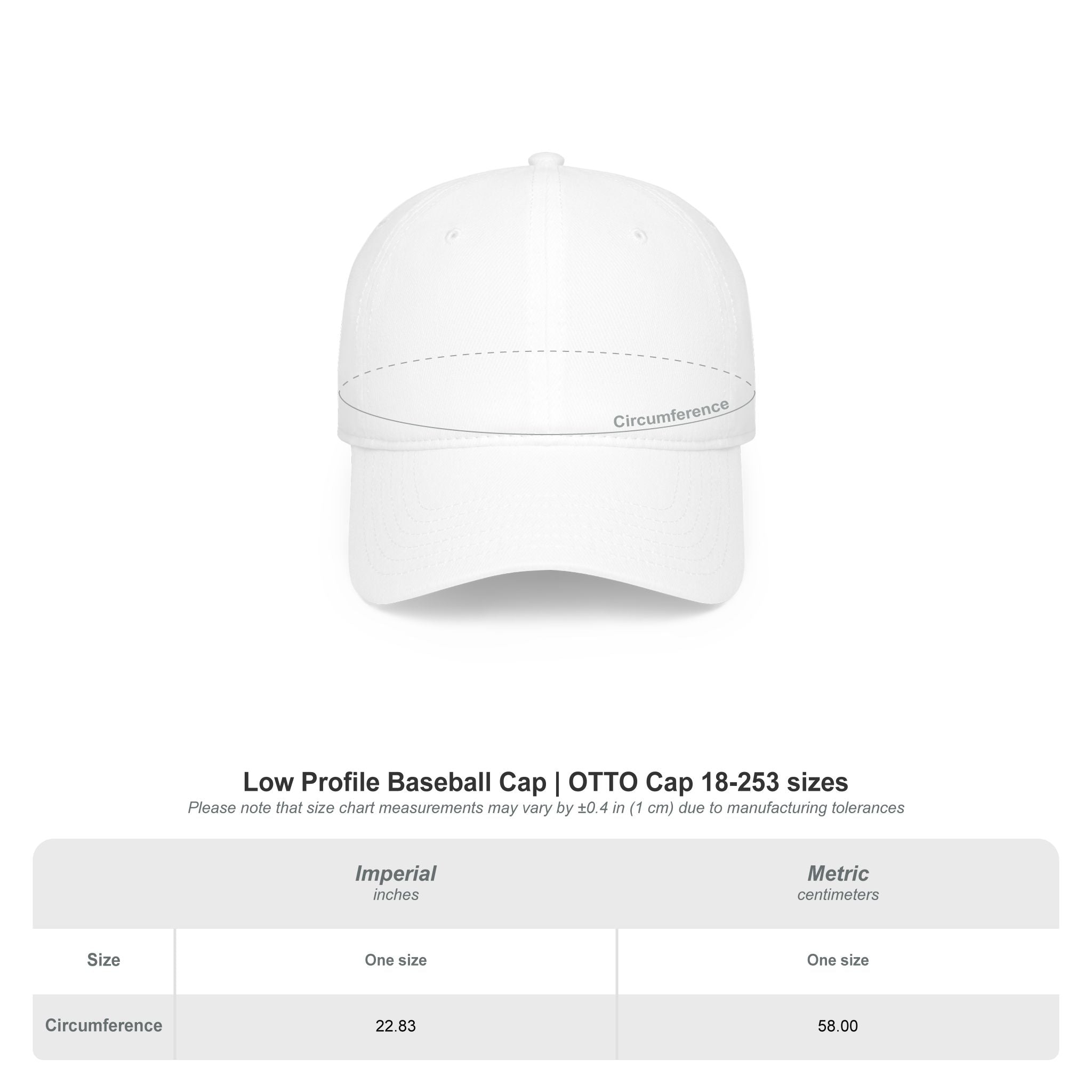 Willie & The Poor Boys Logo Baseball Cap — Vintage Tour Music Hat